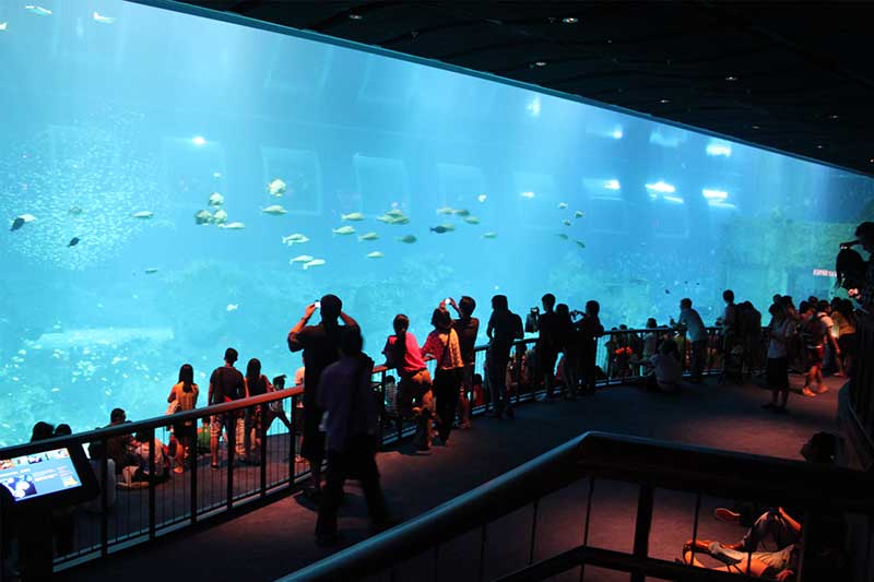 sentosa-aquarium